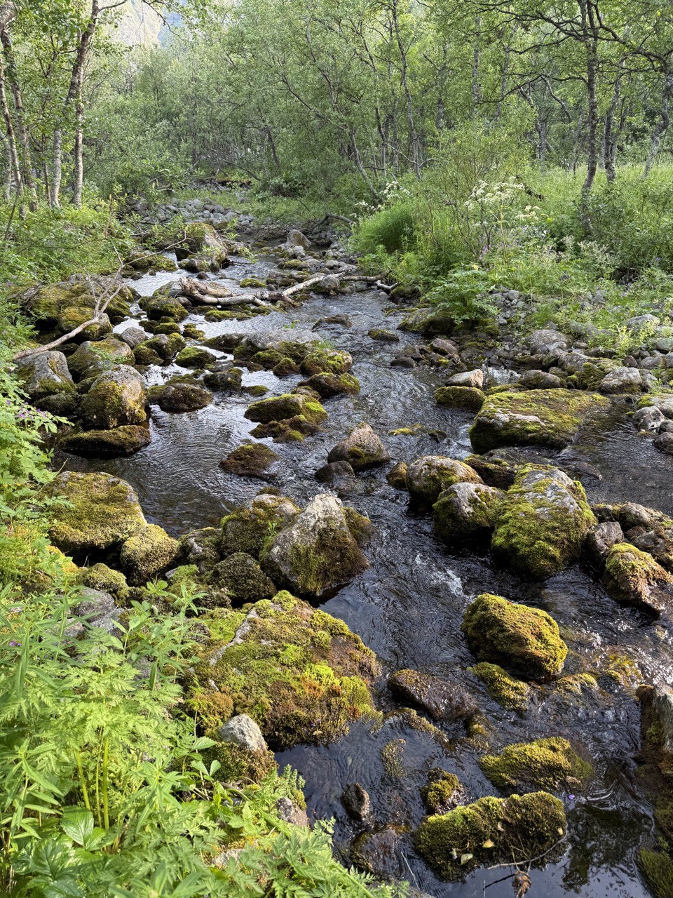 Река Эльморайок